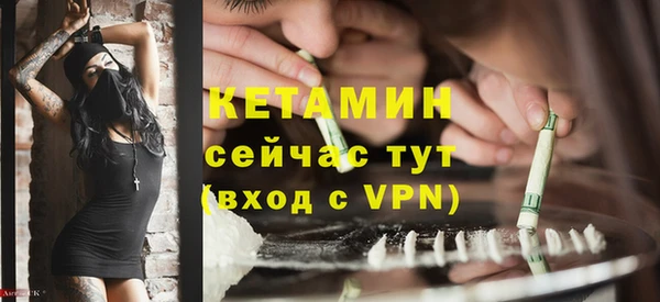 прущий лед Дмитриев