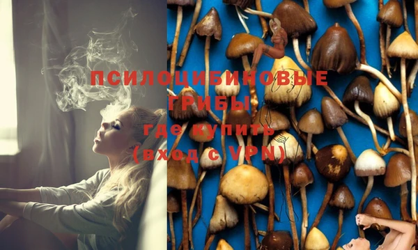 прущий лед Дмитриев