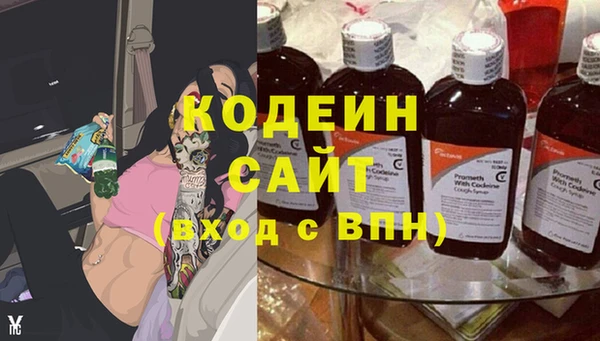 прущий лед Дмитриев
