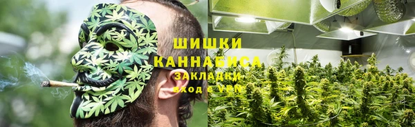 прущий лед Дмитриев