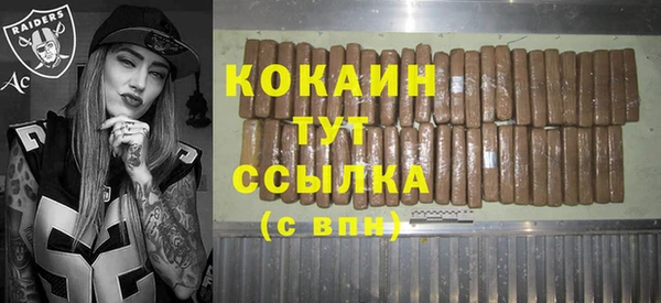 прущий лед Дмитриев