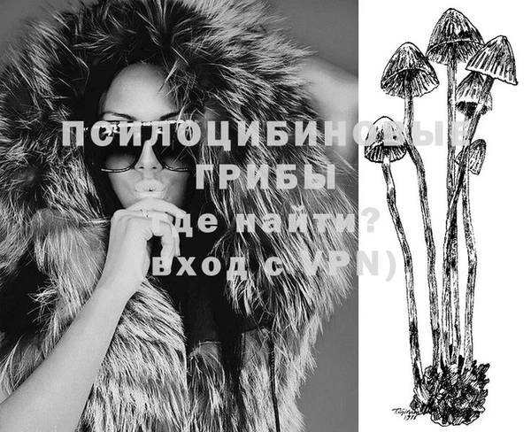 jwh Дмитровск