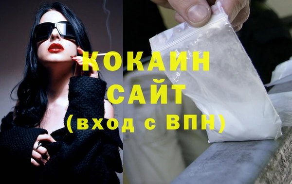 прущий лед Дмитриев