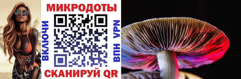 Галлюциногенные грибы прущие грибы  закладка  hydra вход  Жердевка 